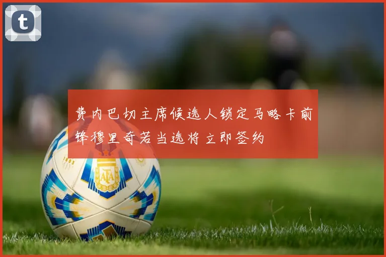 费内巴切主席候选人锁定马略卡前锋穆里奇若当选将立即签约